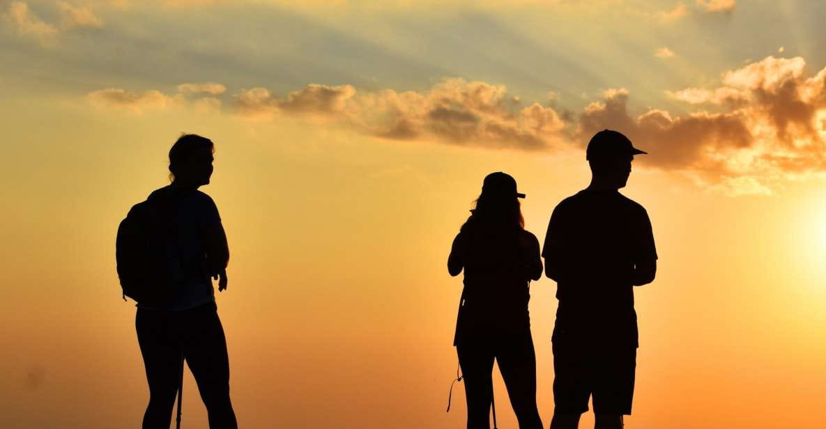 Sunset in Sierra Nevada at 2,500m Altitude - Overview of the Experience