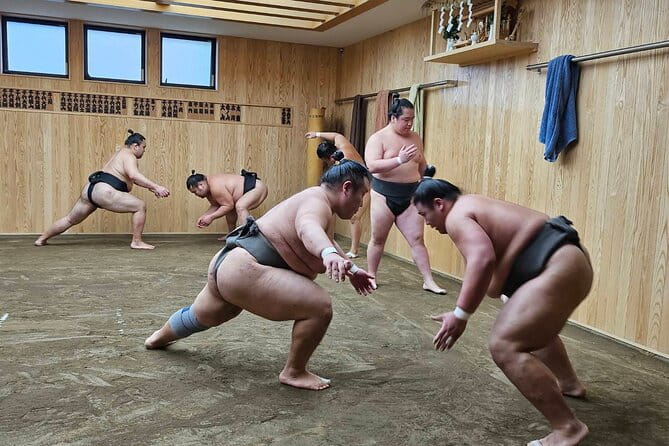 Tokyo Sumo Wrestling Morning Practice Tour With Private Transfer - Overview of the Tour