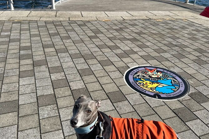 Yokohama Private Manhole Lids Exploring