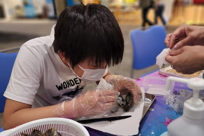 Experience Extracting Pearls From Akoya Oysters osaka - Location and Meeting Point