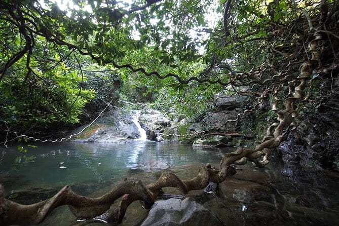 3-Day and 2-Night Amami Folksong Private Tour in Japan - Accommodation