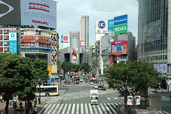3 to 5 Hours Private Tour in Tokyo With Local Guide - Meeting and Pickup
