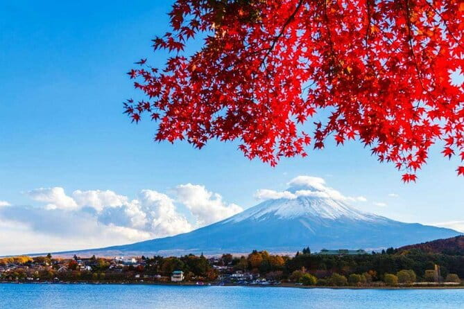 【Japan】9 Days Japan Golden Tour - Transportation Details