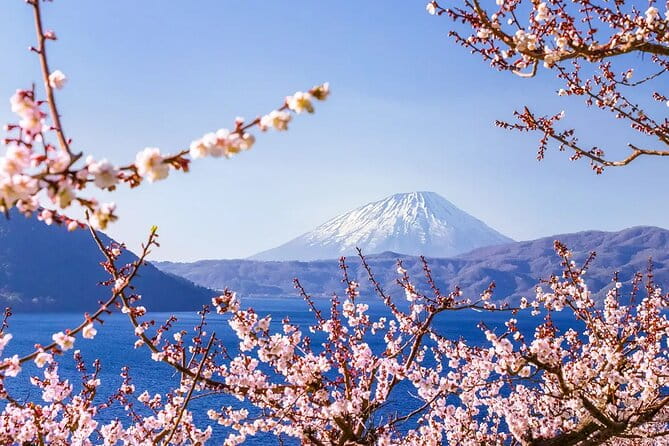 Hokkaido｜Noboribetsu Lake Toya Otaru Panoramic From Tour Sapporo - Accessibility and Participation