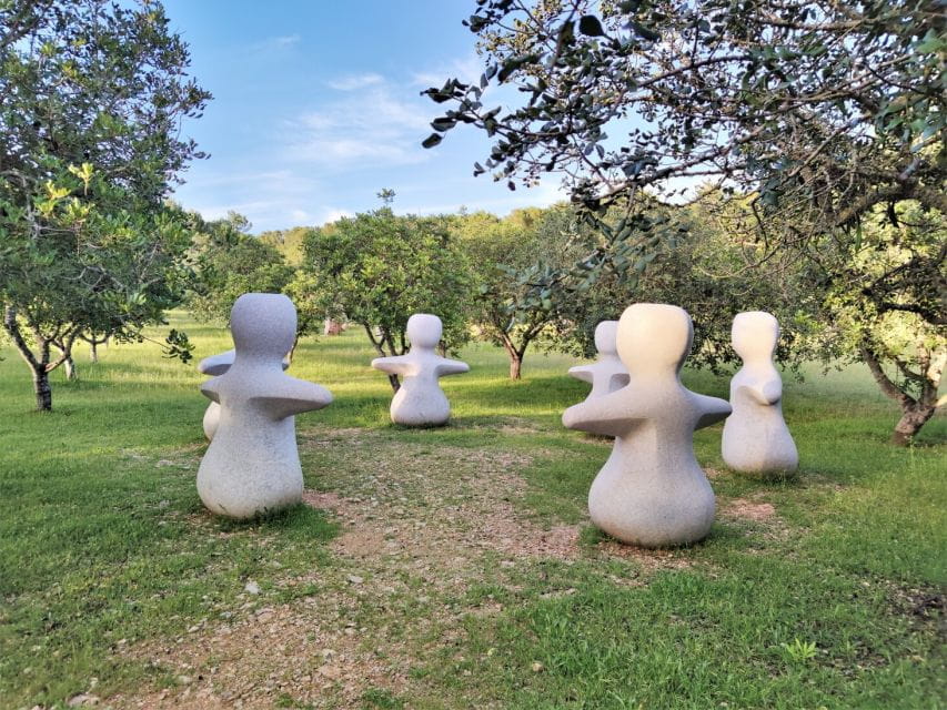 Alcudia: Museum Sa Bassa Blanca Entry Ticket - Museum Exhibitions Overview