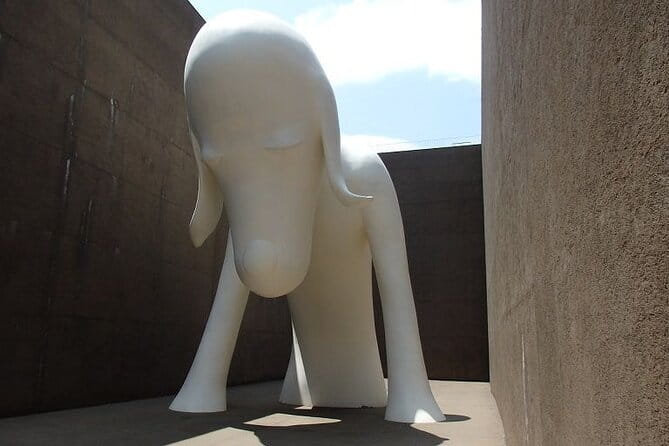 Aomori Full-Day Private Trip With Government-Licensed Guide - Accessibility and Participation