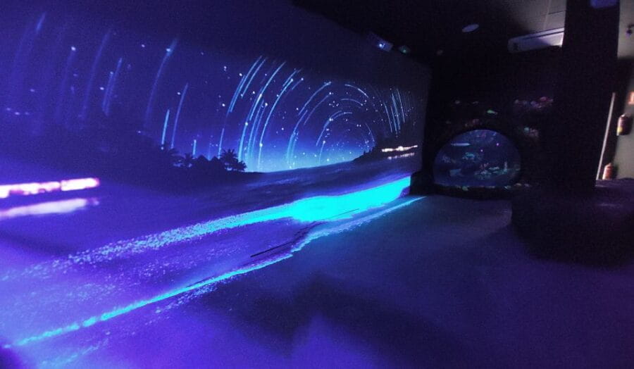 Benalmadena Aquarium Visit - Underwater Adventure Awaits