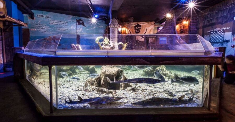 Benalmádena: Sea Life Benalmádena Premium Entry Ticket - Unique Marine Experience