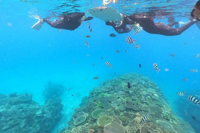 Boat Snorkeling Trip 2 Rounds at Nakijin, Motobu , Okinawa - Included Services and Equipment