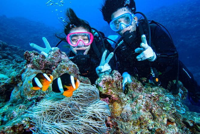 Departing From Onna Village (Maeda Fishing Port)! Minna Island Snorkel & Trolling Experience | Completely Reserved Boat Charter Plan (7 Hours Course) - Preparation and Recommendations