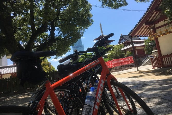 Eat, Drink, Cycle: Osaka Food and Bike Tour - Delving Into the World of Sushi