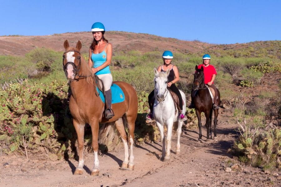 El Salobre: Horse Riding Adventure With Transfer Options - Pricing and Reservations