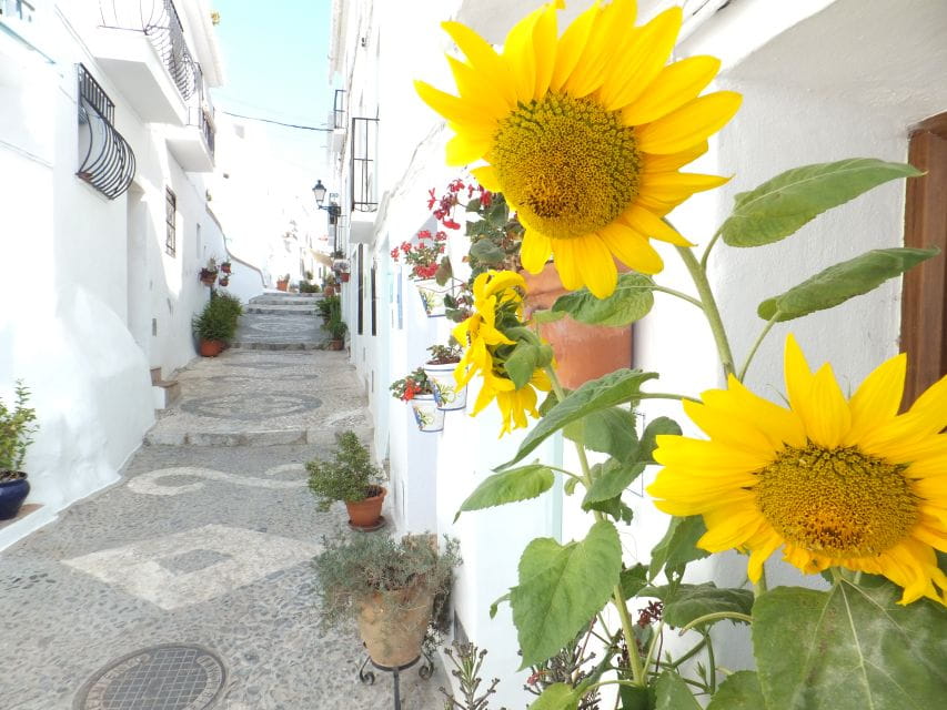 From Málaga: Frigiliana Hiking Tour With Wine & Appetizers - Itinerary Details