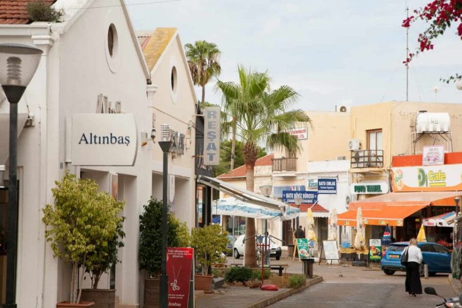 From Paphos: Tour Nicosia - Larnaca (North Cyprus Walk-In) - Itinerary Highlights