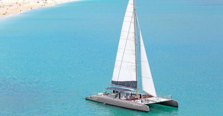 Fuerteventura: Magic Catamaran Trip With Food and Drinks - Immersive Dolphin and Whale Watching