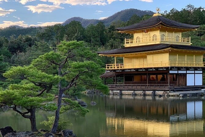 Guided Kyoto City Cherry Blossom One Day Private Tour - Itinerary