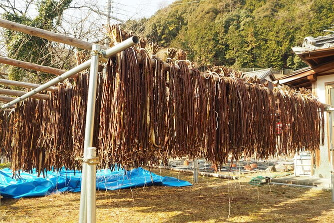 Handmade Japanese Paper Experience in Yoshino (Nara) - Meeting and Pickup Logistics