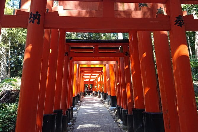 Kyoto Lazy Bird Walking Tour - Tour Experience and Personalization