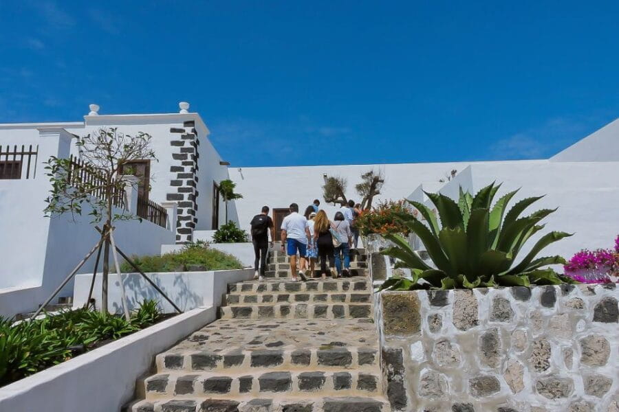 Lanzarote: Vineyard Tour With Wine and Chocolate Tasting - Itinerary Highlights