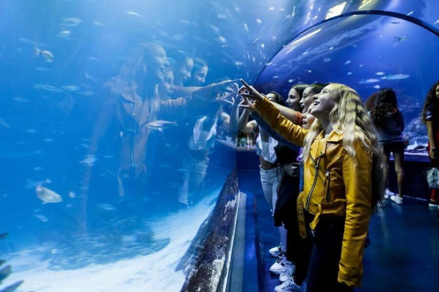 Madrid: Atlantis Aquarium Entry Ticket - Experience Highlights