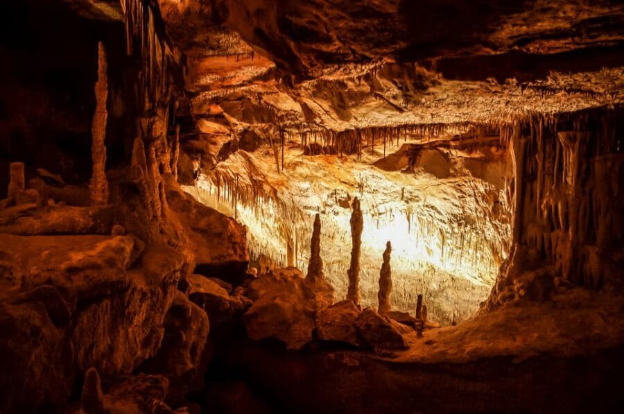 Mallorca: Caves of Drach Tour From the North With Boat Trip - Experience Highlights