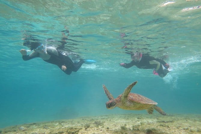 [Miyakojima Snorkel] Private Tour From 2 People Lets Look for Sea Turtles! Snorkel Tour That Can Be Enjoyed From 3 Years Old - What to Expect on Your Private Snorkeling Adventure