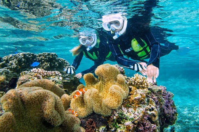 Miyakojima / Snorkel Tour to Enjoy Coral and Fish - Inclusions and Fees