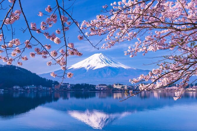 Mt. Fuji and Hakone Private Tour With English Speaking Driver - Included Services and Amenities