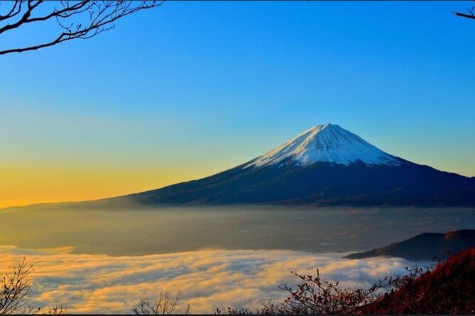 Mt. Fuji and Lake Kawaguchi Day Trip With Guide - Inclusions and Amenities