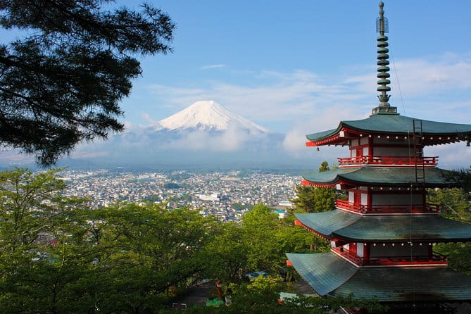 Mt Fuji & Hakone Private Day Tour W/ English Speaking Driver - Inclusions and Vehicle Details