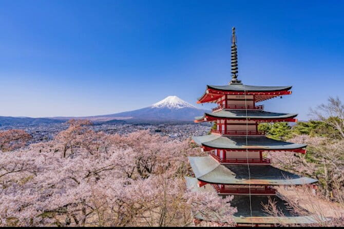 Mt.Fuji Hakone Private Tour With English Speaking Chauffeur - Pickup Information