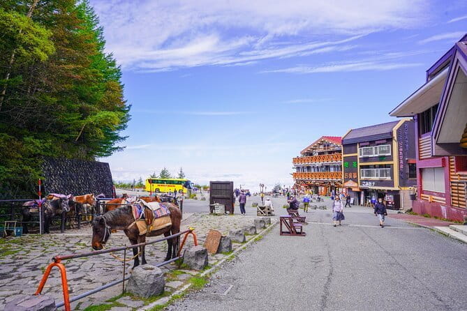 Mt. Fuji Private Chartered Tour With Nature & Wasabi Farm - Highlights of the Tour Itinerary