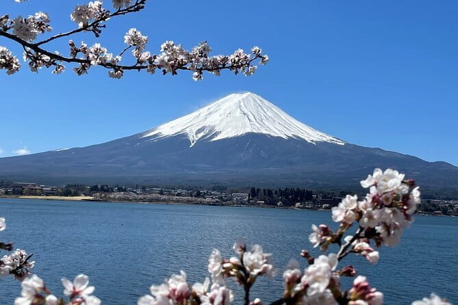 Mt Fuji Private Sightseeing Tour From Tokyo - Meeting and Pickup Details