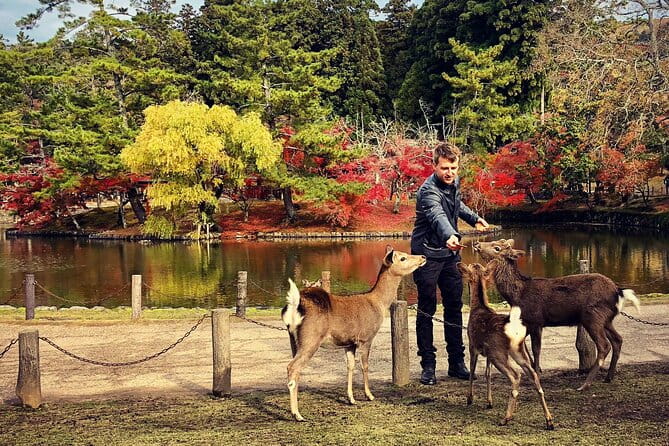 Nara Adventure: Todaiji, Kasuga Shrine, Nara Park, Hozanji Temple - Itinerary Details