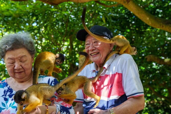 Okinawa Ishigaki Island Private Tour - Inclusions and Exclusions