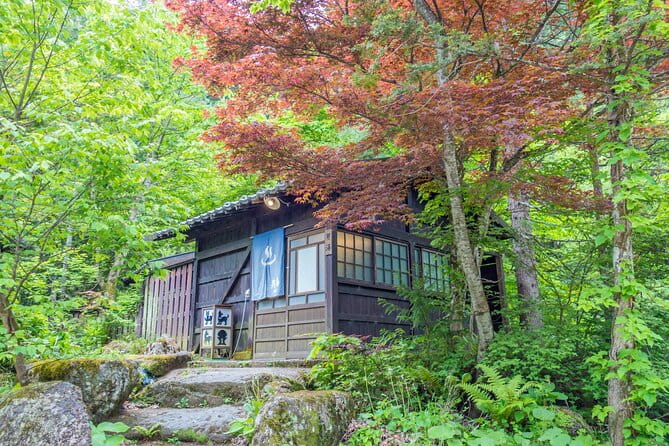 One Way Bus From Hirayu to Kawaguchiko via Mt. Fuji 5th Station - Overview and Service Details