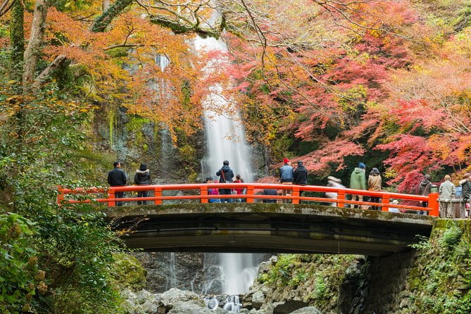 Osaka Private Food Tours by Local Foodies: 100% Personalized - Inclusions and Exclusions