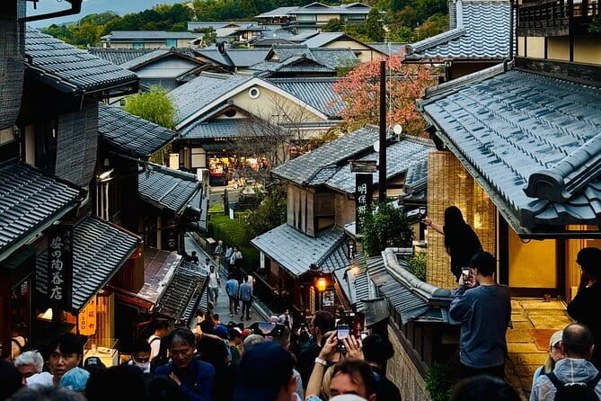 Private Kyoto Osaka Day Tour With English Speaking Driver - Accessibility Features