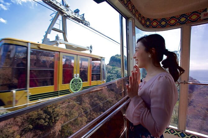 Private Sightseeing Tour From Shimizu Port / Sedan Taxi - Meeting and Pickup