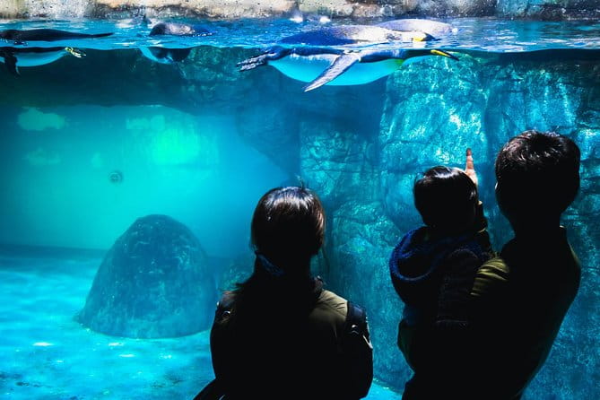 Private Tour Guide Yokohama With a Local: Kickstart Your Trip, Personalized - Inclusions