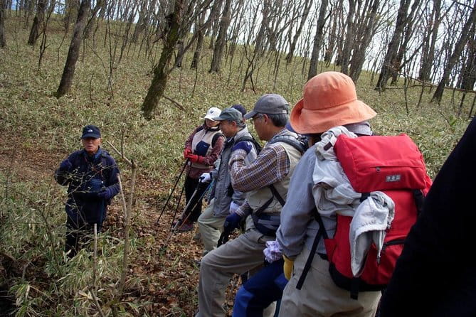 Relax and Refresh in Karuizawa Forest! Shinanoji Down Trekking Around Two People - Trekking Experience Overview