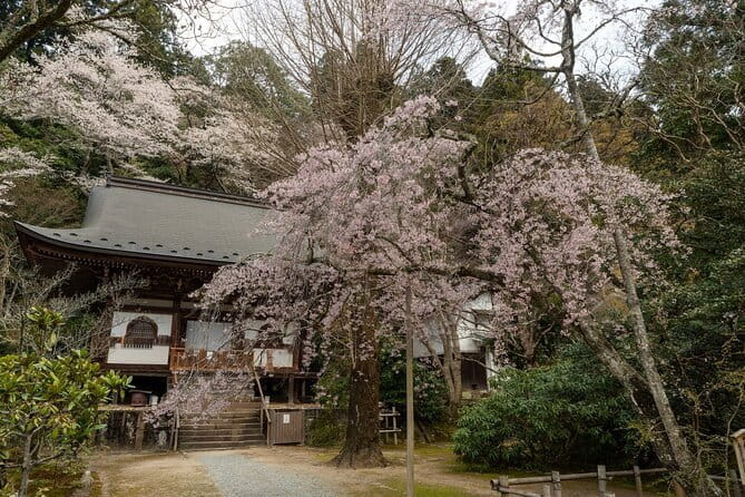 Relaxed Nara Tour From Osaka: Hasedera and Muroji Temples - Inclusions