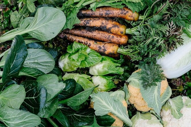 Spend Special Time Enjoying Local Food in Zentsuji, Kagawa - Discovering Kagawas Culinary Delights