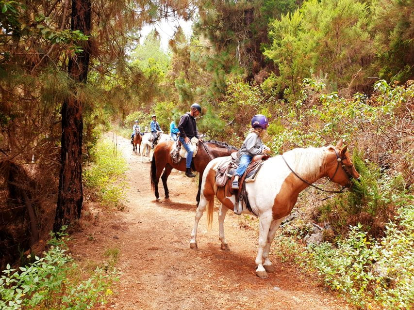 Tenerife: Guided Horseback Riding Tour to the Lomo Forest - Experience Highlights
