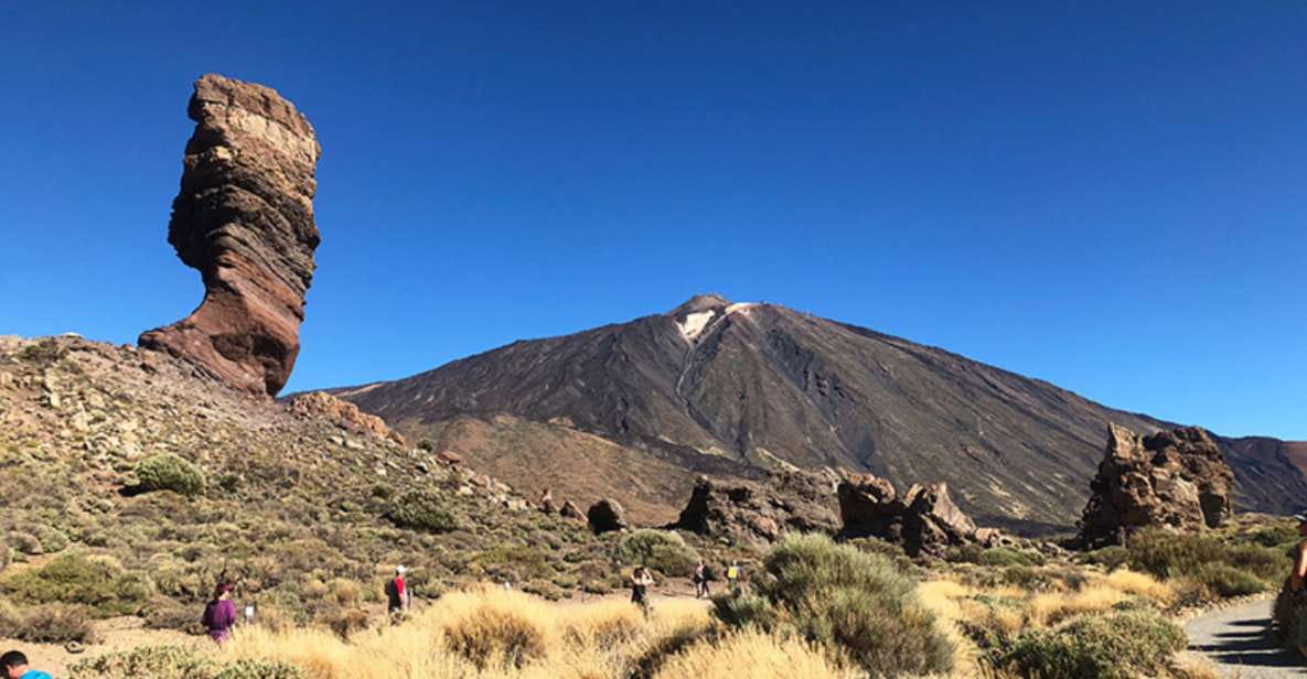 Tenerife: Teide National Park Guided Full-Day Trip by Bus - Tour Overview and Pricing