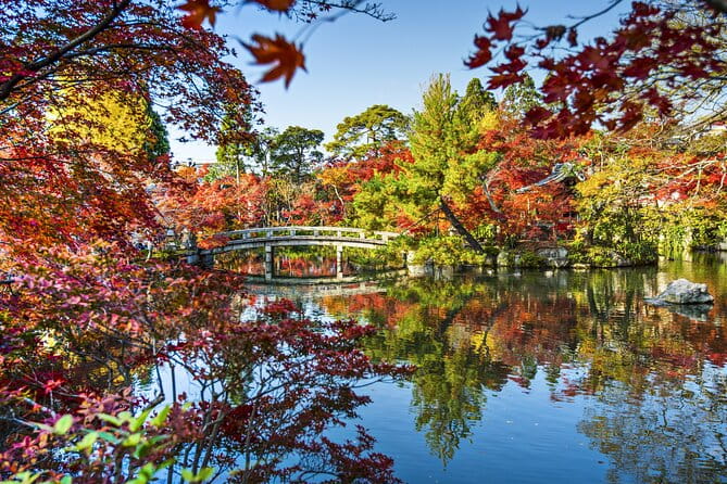 Tokyo Market Skyline and City Guided Tour for Kids and Families - Highlights of the Tour