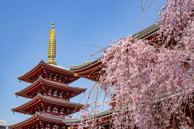 Tokyo Personalized Full-day Tour Led by a Local Expert - Tailored Itineraries for Every Interest