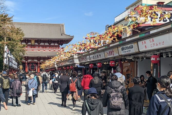 Tokyo Private Car Tour: Professional Guide and Driver/Optional Airport Xfer - Traveler Reviews and Experiences