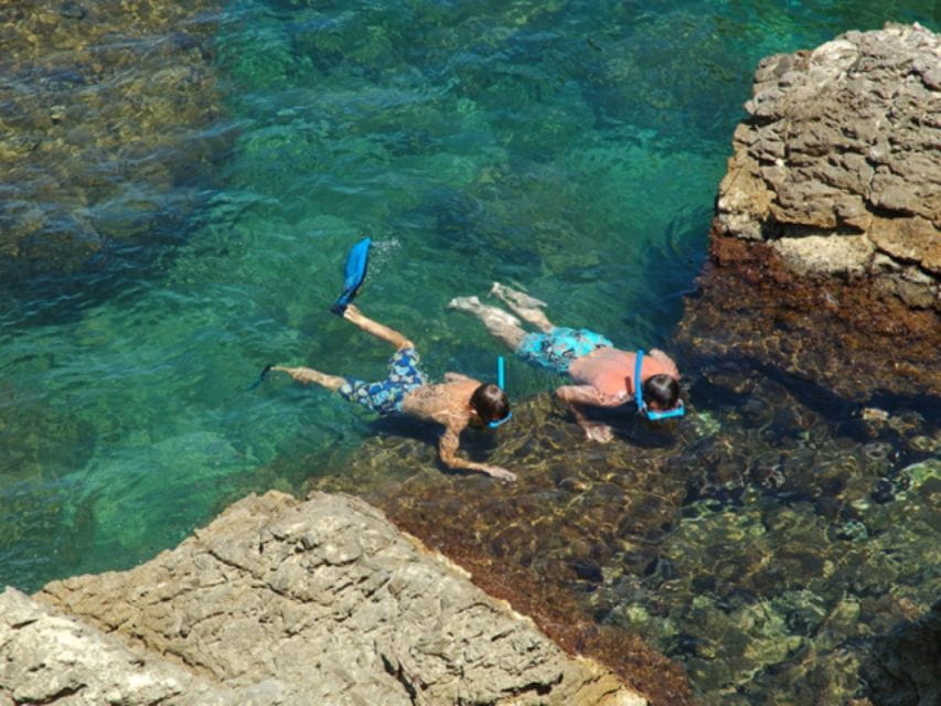Tossa De Mar: Snorkeling Tour - Experience and Itinerary