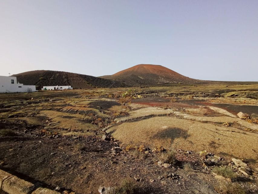 Wine Tour Discovering the Origins of Vineyards in Lanzarote - Hiking Experience Highlights